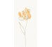 Декор WITMB009 20x40 Tulip з колекції Tulip Rako