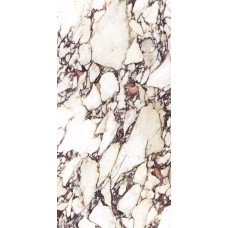 Calacatta Viola 120x280