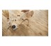 Плитка керамогранітна Passion Oak Natural 221x890x8 Opoczno Opoczno