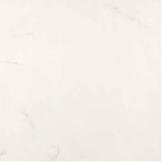 (45х45) STATUARIO из коллекции Selection Floor (45х45) STATUARIO из коллекции Selection Floor Ceramiche Supergres — итальянская керамика из Казальгранде с 1961 года