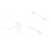 Гресс ATLANTIC WHITE 60х120 Itaca