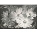 Декор (60x90) 8000663 DECOR PREMIERE - N° 5 з колекції N° 5 Atlantic Tiles