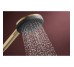 RAINDANCE ALIVE SELECT S ручний душ (3 типи струменів RainAir, PowderRain, Massage), шліфованна бронза