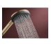 RAINDANCE ALIVE SELECT S ручний душ (3 типи струменів RainAir, PowderRain, Massage), шліфованна бронза
