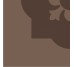 Плитка (20x20) Poppy Brown Q - BDS з колекції BDS Bisazza