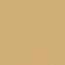 Concrete Ray Street - 60x60 98556 Ec1/22 из коллекции Ec1/22 Ec1/22