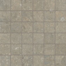 Мозаїка ARKISTYLE FOSSIL TESSERE - 30x30 J235 Arkistyle з колекції Arkistyle Arkistyle — сторінка 3