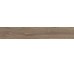 Плитка (16.5x100) 68194 Fondi Birch - Natural из коллекции Natural Cerdomus