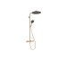 Душевая система Raindance Alive S Puro 300 1jet EcoSmart из Ecostat Element, Brushed Bronze (24593140)