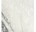 Плитка Renoir Matte 120x120 Etoile Rex из коллекции Etoile Rex