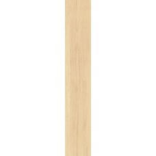 MESOLA GRIP - 20x120 17101528 Project Wood з колекції Project Wood Project Wood
