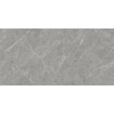 Грес BELINI Светло-Серый 071/MR 120х60 Грес BELINI Светло-Серый 071/MR 120х60 Грес BELINI Светло-Серый 071/MR 120х60 Грес BELINI Светло-Серый 071/MR 120х60