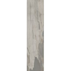 (24.3x99.5) PO2540R Petrified Wood Grey Rettificato - Petrified Wood з колекції Petrified Wood Ascot