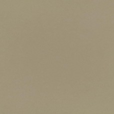Beige Nature 59.6x59.6 Neo з колекції Neo