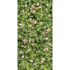 120x240 Coral Rose - Limpha - 12560028 з колекції Limpha 120x240 Coral Rose - Limpha - 12560028 з колекції Limpha Limpha Керамічна плитка Casalgrande Padana