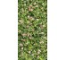 Плитка 120x240 Coral Rose - Limpha - 12560028 з колекції Limpha Casalgrande Padana