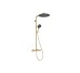 Душова система Raindance Alive S Puro 300 1jet з Ecostat Element, Polished Gold Optic (24592990)