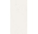 Плитка SCW Polished - 60x120 4101027 Superclassica SCW з колекції Superclassica SCW 41ZERO42