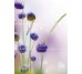 Декор (27х60) DECOR MONTEMPO-3 (комплект из 3шт) из коллекции Hipnotic Novogres