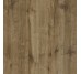 Плитка 60x60 Woodtale Xt20 Noce Rt - Woodtale XT20 - R4XJ з колекції Woodtale XT20 Ragno