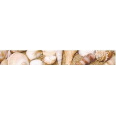 Бордюр Shells 7.8x60 Sonora з колекції Sonora Sonora Керамічна плитка Ceramika Color