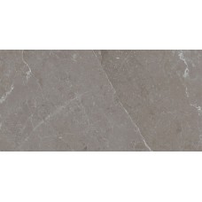 ARCADIA TECNO GRIGIO 60X120 NATURAL з колекції Arcadia Arcadia