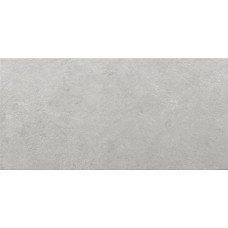 30,3x61,3 Silver-Canon-NCSS2500N из коллекции Canon