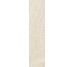 Плитка 7,4x30 Cosmic Ivory Rettificato Satin - Cosmic з колекції Cosmic Unicom Starker