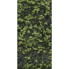 120x240 Helix C - Limpha - 11560222 з колекції Limpha 120x240 Helix C - Limpha - 11560222 з колекції Limpha Limpha Керамічна плитка Casalgrande Padana
