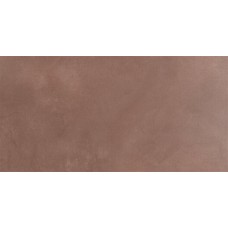 (31x61) FP4T635061 BengalaRj - Bengala из коллекции Bengala Bengala Керамическая плитка Roca