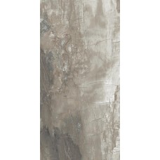 (30x60) PO390 Petrified Wood Musk - Petrified Wood злекції Petrified Wood Ascot (30x60) PO390 Petrified Wood Musk - Petrified Wood злекції Petrified Wood Ascot