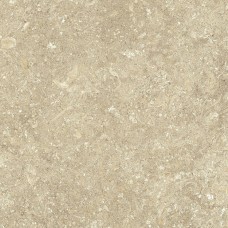 (60x60) fNDM Nord 60Natural R10 - Nord из коллекции Nord FAP NORD Керамическая плитка FAP Ceramiche