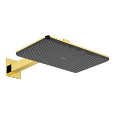 Верхній душ Raindance Alive Q 340/210 2jet EcoSmart з тримачем Polished Gold Optic (24551990) Верхній душ Raindance Alive Q 340/210 2jet EcoSmart з тримачем Polished Gold Optic (24551990)