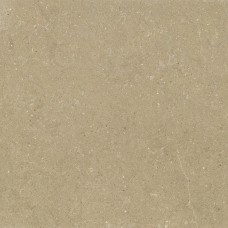 HWD 01 Beige Rett - 120x120 GRWD01R Wild з колекції Wild