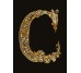 Декор 14,5x19,4 Lettera Nera C - Alphabet - 489720 з колекції Alphabet Versace