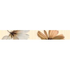Cenefa Ocean Flor Crema Бордюр (5х32.5) Cenefa Ocean Flor Crema Бордюр (5х32.5) Ocean Керамічна плитка Fanal