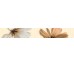 Бордюр (5х32.5) CENEFA OCEAN FLOR CREMA з колекції Ocean Fanal