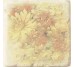 Декор Inserto Ottocento Botticino S3 Camomile 10x10 Marble Age Cir з колекції Marble Age Cir