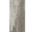Плитка (49.6x99.5) PO190RL Petrified Wood Musk Rett/Lapp - Petrified Wood з колекції Petrified Wood Ascot