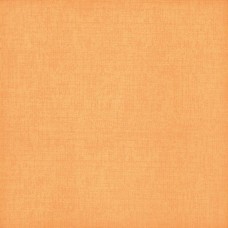 (40x40) Colorado C2 - Colorado из коллекции Chef Bardelli — итальянская керамика с подписями Форназетти и Wanders — страница 12