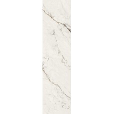 81*324 Capraia 12 Mm 81*324 Capraia 12 Mm