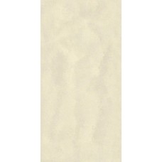60x120 Omni Ice Pol-Omni-3122D383U1 из коллекции Omni Omni Керамическая плитка Revigres — страница 2