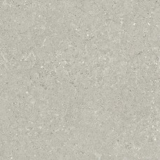 HWD 05 Grey Rett-60x60 G9WD05R Wild из коллекции Wild HWD 05 Grey Rett-60x60 G9WD05R Wild из коллекции Wild Wild Керамическая плитка Del Conca