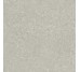 Плитка HWD 05 Grey Rett - 60x60 G9WD05R Wild з колекції Wild Del Conca