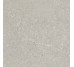 Плитка HWD 05 Grey Rett - 60x60 G9WD05R Wild з колекції Wild Del Conca