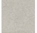 Плитка HWD 05 Grey Rett - 60x60 G9WD05R Wild з колекції Wild Del Conca