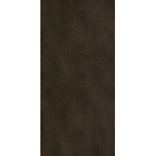 Concrete Signs Brown Leaves 6 mm - 120x250 6CONCR250BROLEA Concrete Signs з колекції Concrete Signs Concrete Signs Brown Leaves 6 mm - 120x250 6CONCR250BROLEA Concrete Signs з колекції Concrete Signs