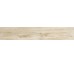 Плитка (16x99.5) FC1680O Focus Ivory Out - Focus з колекції Focus Ascot