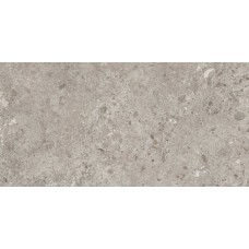 60X120 Bierzo Gris Seda з колекції Bierzo Bierzo Керамічна плитка Grespania — сторінка 2