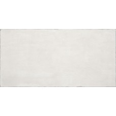 Декор (60x120) FLB6T54011 Plaster Frame Blanco - Plaster з колекції Plaster Plaster Керамічна плитка Roca
